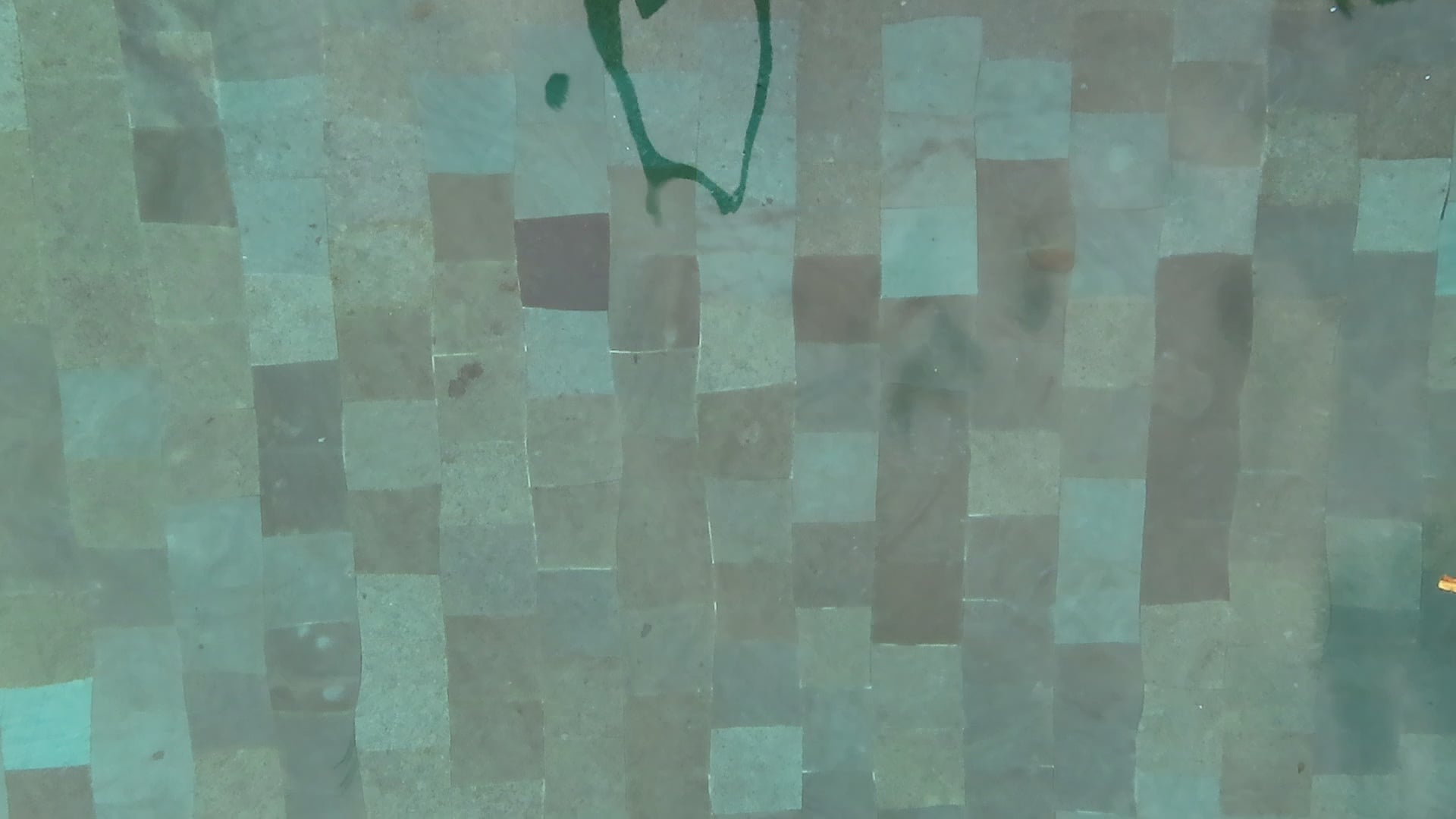 woman swimming in a pool wears a green bikini with a white hat. 